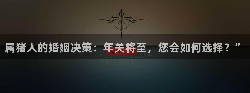 mg不朽情缘k：属猪人的婚姻决策：年关将至，您会如何选择？”