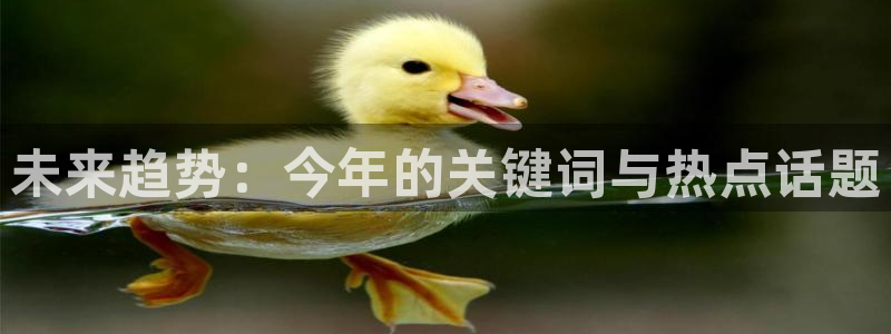 mg不朽情缘体育在线注册：未来趋势：今年的关键词与热点话题