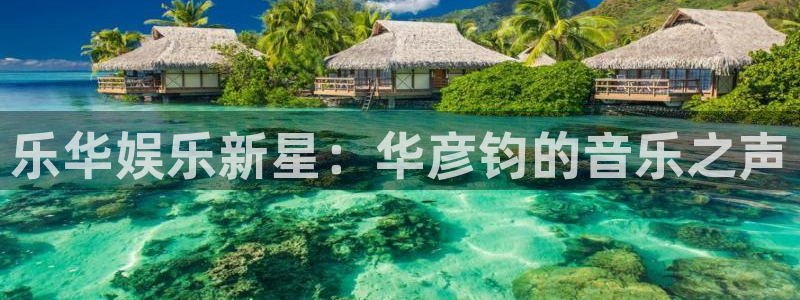 mg不朽情缘：乐华娱乐新星：华彦钧的音乐之声