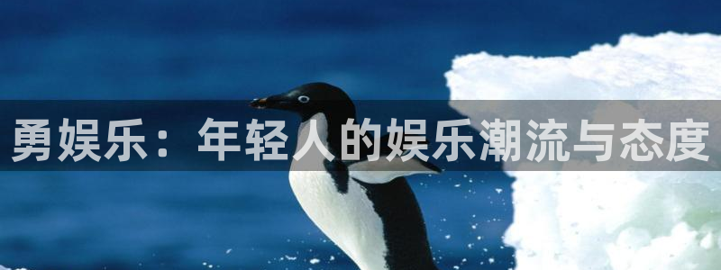 mg不朽情缘体育平台登录入口：勇娱乐：年轻人的娱乐潮流与态度