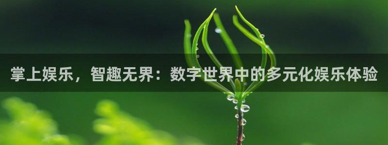 mg不朽情缘3：掌上娱乐，智趣无界：数字世界中的多元化娱乐体验