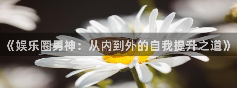 mg不朽情缘3官网：《娱乐圈男神：从内到外的自我提升之道》