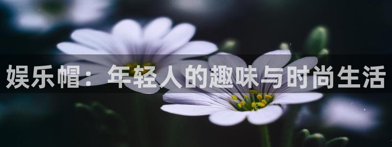 mg不朽情缘集团股票：娱乐帽：年轻人的趣味与时尚生活