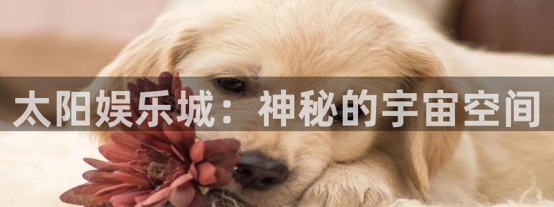 mg不朽情缘体育3：太阳娱乐城：神秘的宇宙空间