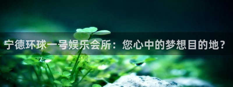 mg不朽情缘4代理：宁德环球一号娱乐会所：您心中的梦想目的地？