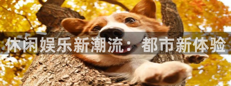 mg不朽情缘体育代理申请流程：休闲娱乐新潮流：都市新体验