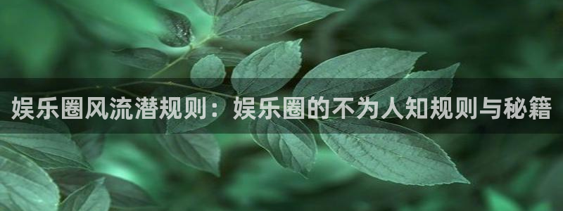 mg不朽情缘体育官网登录：娱乐圈风流潜规则：娱乐圈的不为人知规则与秘籍