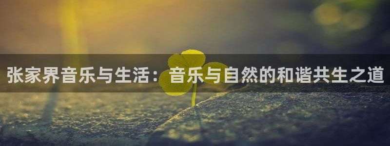 mg不朽情缘体育2：张家界音乐与生活：音乐与自然的和谐共生之道