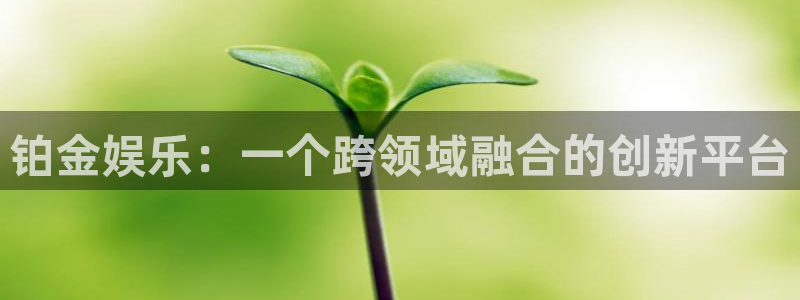 mg不朽情缘4平台注册：铂金娱乐：一个跨领域融合的创新平台