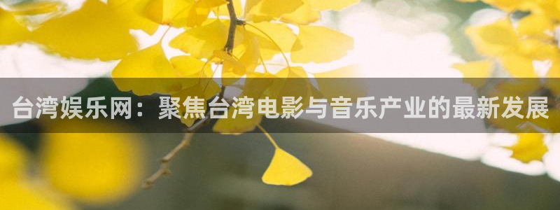 mg不朽情缘3：台湾娱乐网：聚焦台湾电影与音乐产业的最新发展