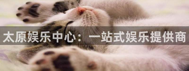 mg不朽情缘体育平台登录入口：太原娱乐中心：一站式娱乐提供商