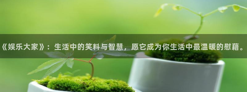 mg不朽情缘体育1招商：《娱乐大家》：生活中的笑料与智慧，愿它成为你生活中最温暖