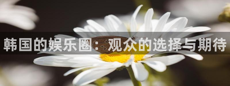 mg不朽情缘5招商：韩国的娱乐圈：观众的选择与期待