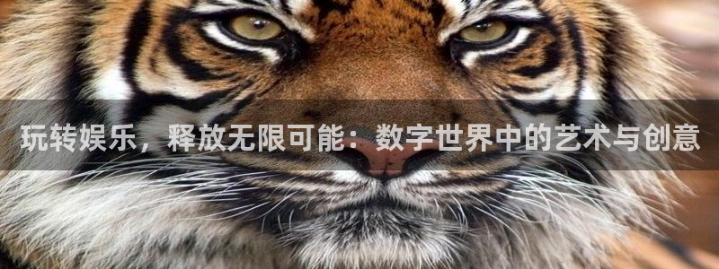 mg不朽情缘代理：玩转娱乐，释放无限可能：数字世界中的艺术与创意